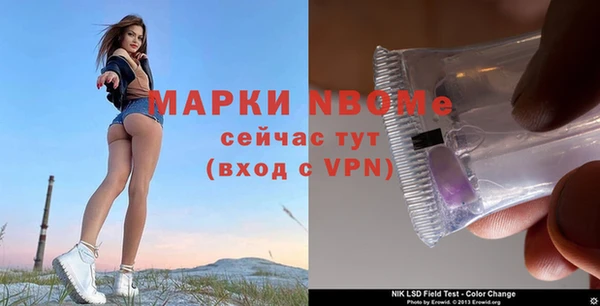 эйфоретик Алзамай
