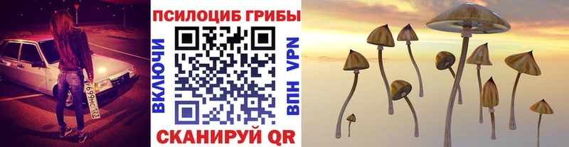 ссылка на мегу зеркало  Петропавловск-Камчатский  Галлюциногенные грибы прущие грибы 