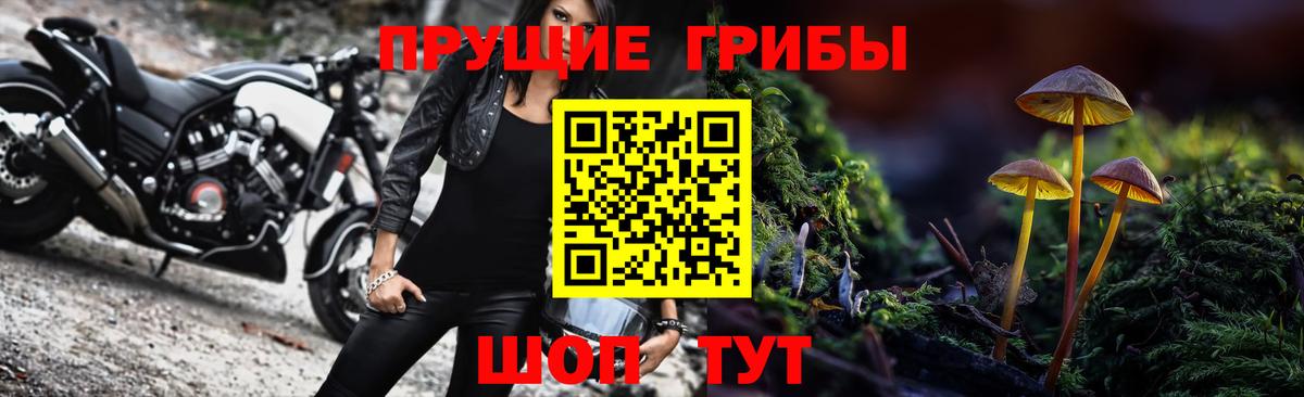 Петропавловск-Камчатский  Псилоцибиновые грибы Cubensis  Псилоцибиновые грибы мухоморы  Вход с VPN 